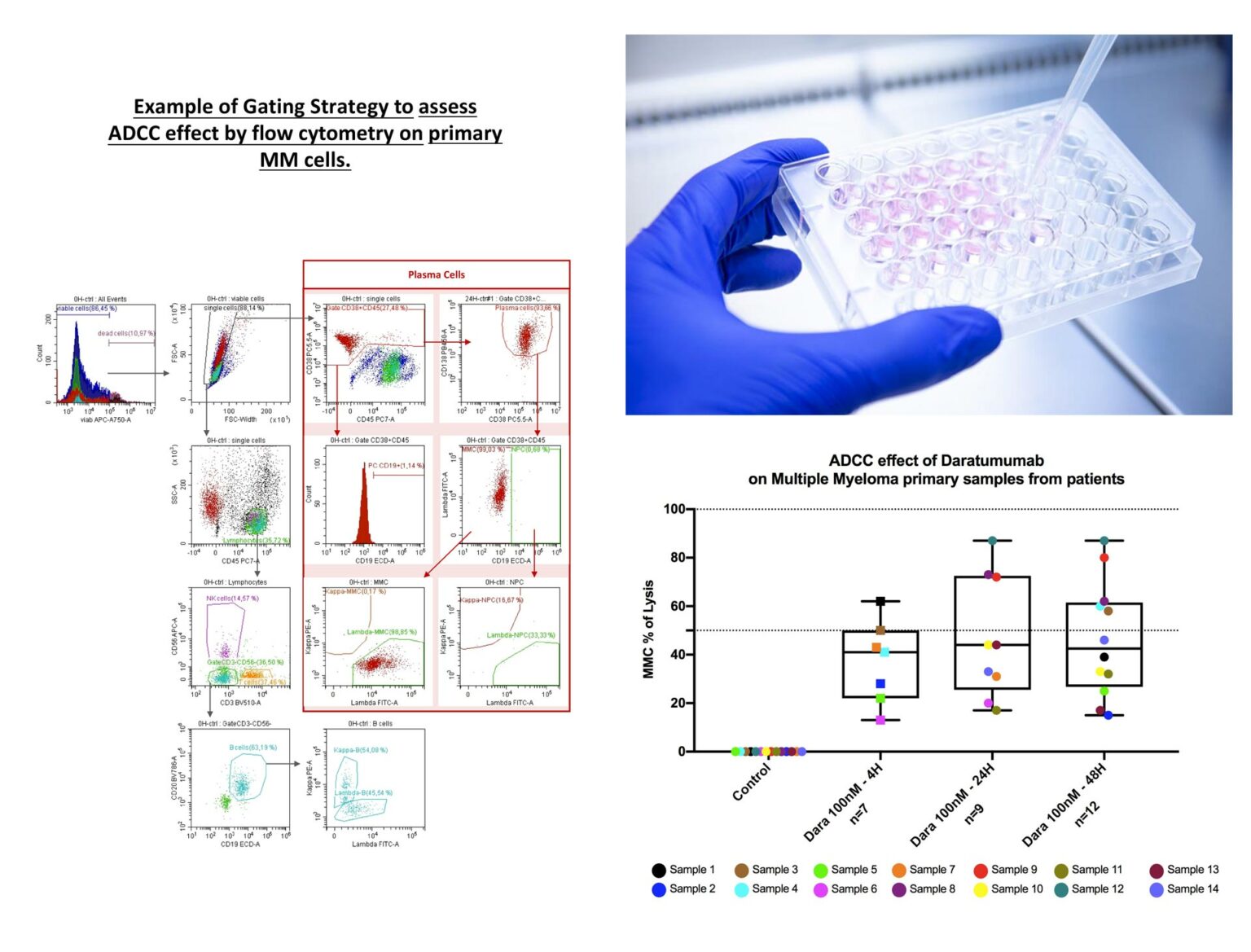 Immunotherapies : Assays And Analysis - Diag2Tec, Preclinical CRO